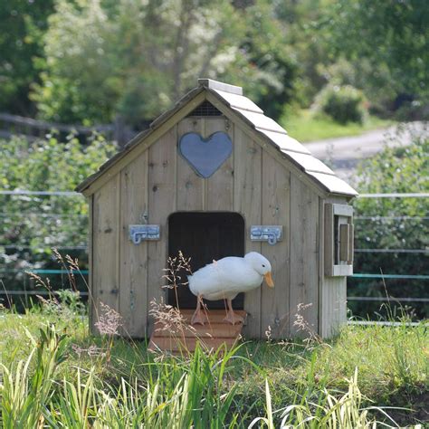 From Floating Houses to Traditional Pens: When Did Different Types of Duck Houses Emerge?